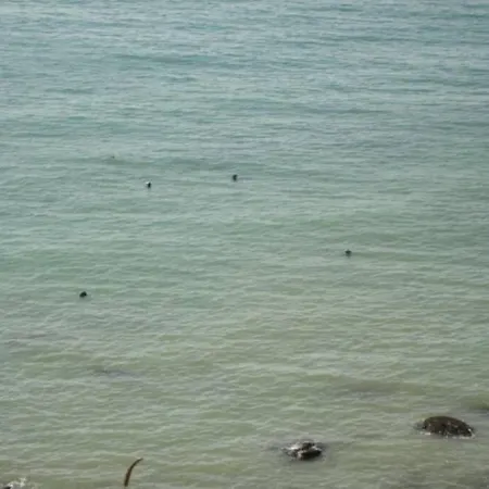 Cosy Au Calme Entre Mer Et Campagne Holiday home Bazinghen