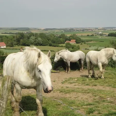 Holiday home Cosy Au Calme Entre Mer Et Campagne Bazinghen